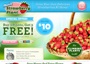 Try Hanging Strawberry Garden with a Buy 1, Get 1 FREE Offer!