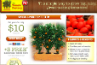 Try Tomato Factory with a FREE Bonus!