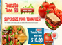 Get 6 Tomato Giant Plants for Only $10